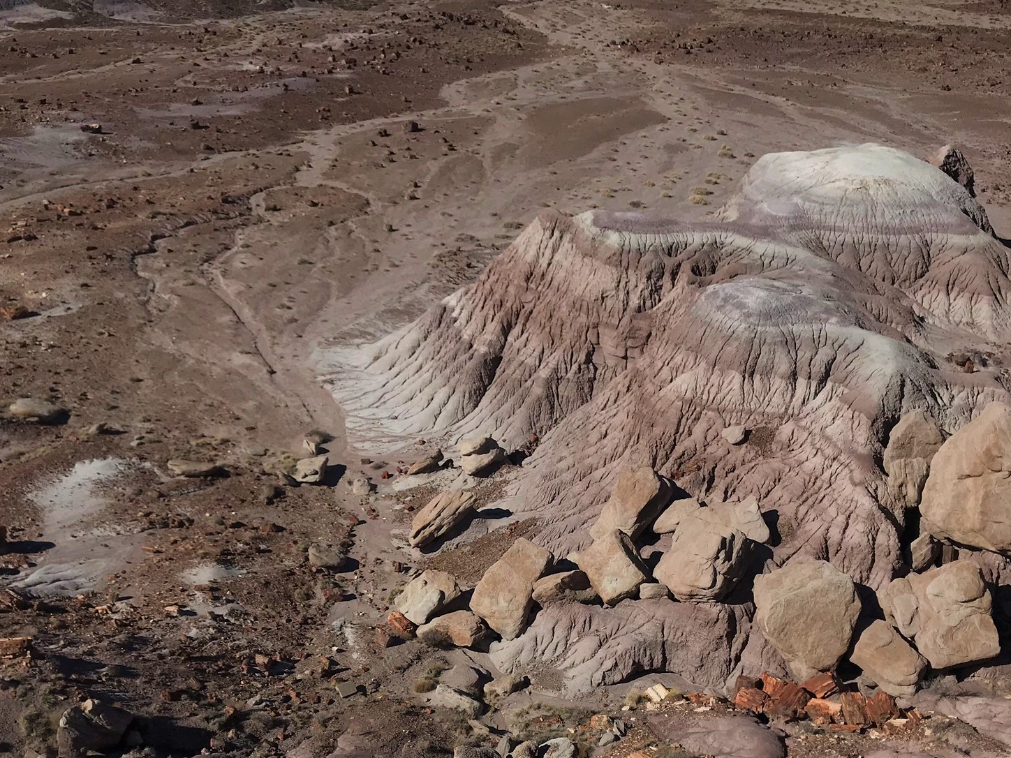 Petrified Forest National Monument