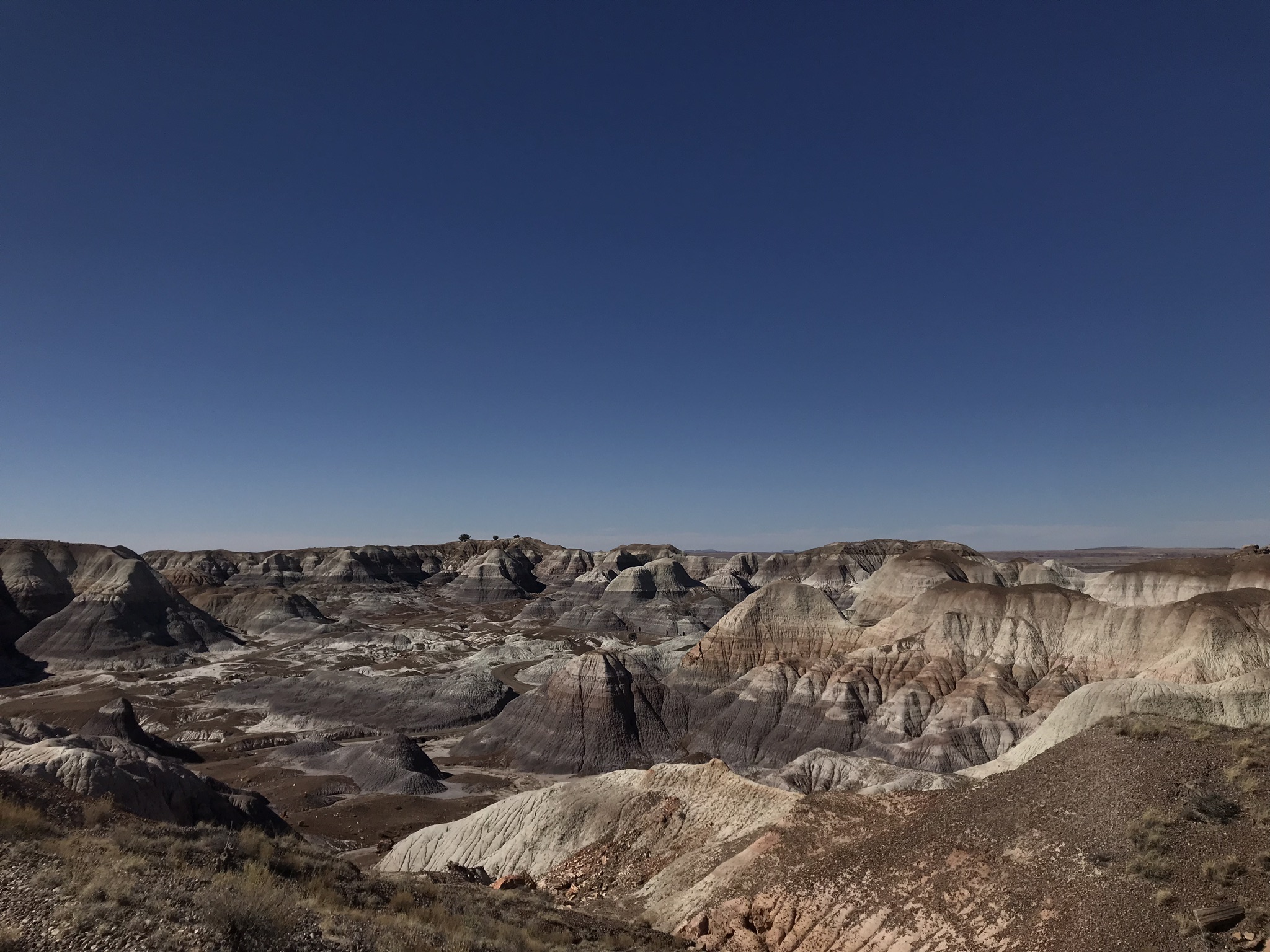 Petrified Forest National Monument