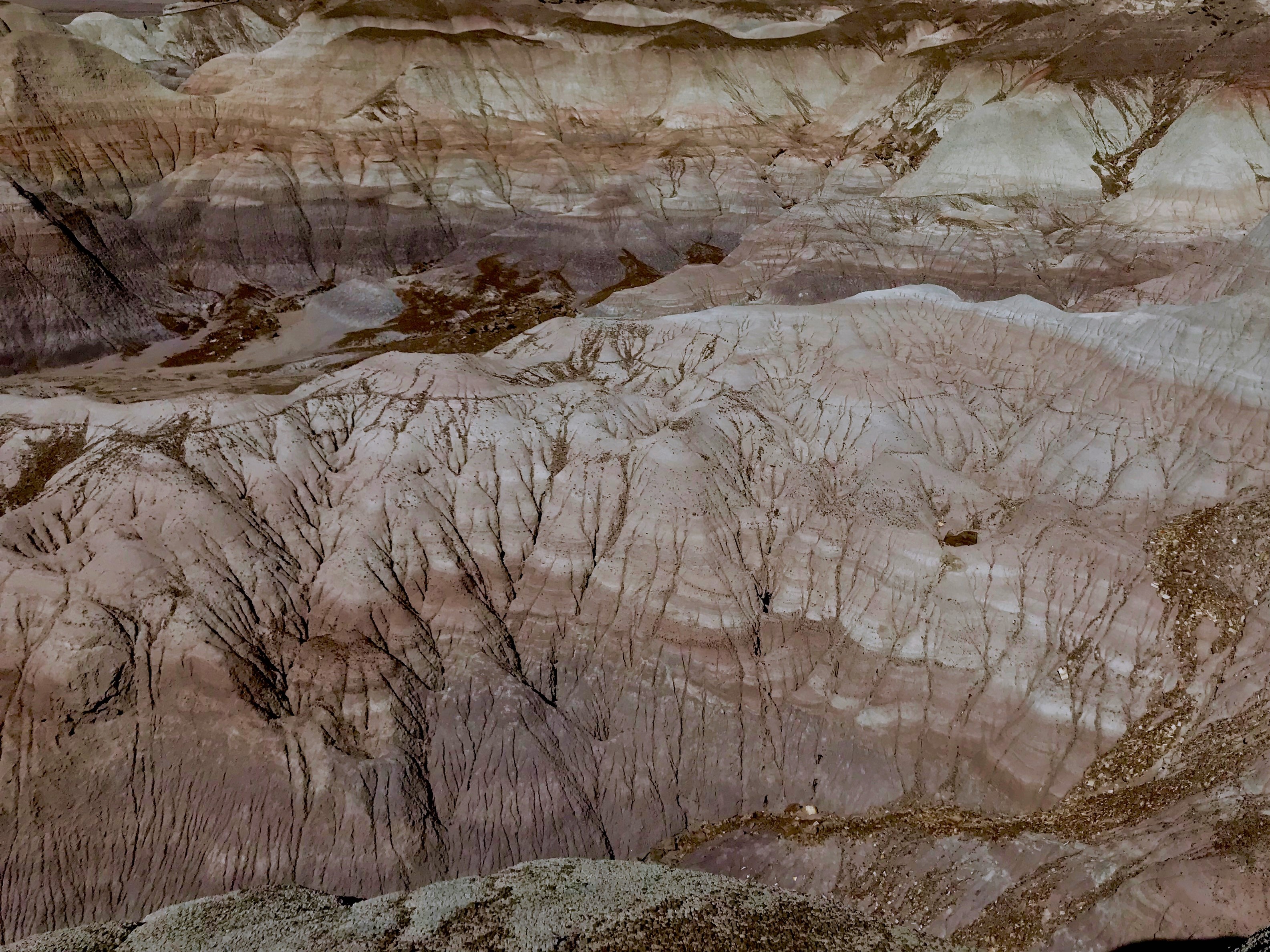 Petrified Forest National Monument